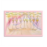 Colorful Menorah Framed Wall Art – Pink Frame, 16 × 24